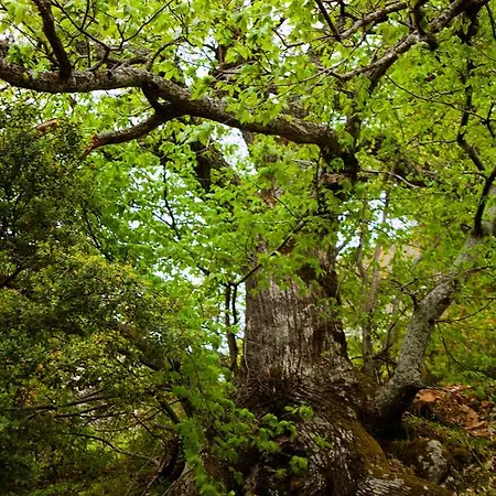 1821 En Dolianis Hotel 4*